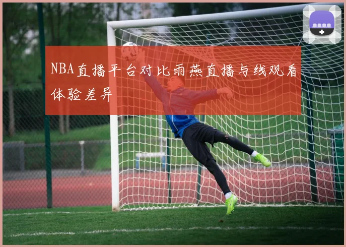 NBA直播平台对比雨燕直播与线观看体验差异