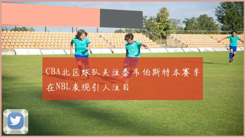 CBA北区球队关注泰韦伯斯特本赛季在NBL表现引人注目